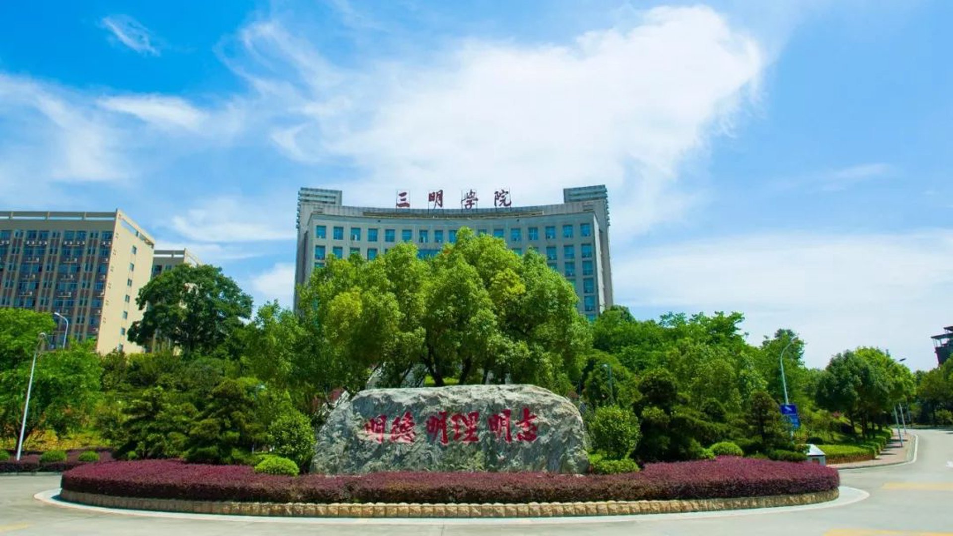 爱动巅峰体育